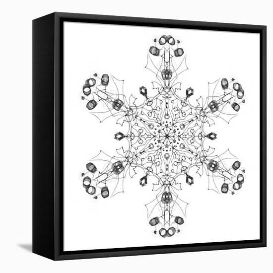 Snowflake 5-RUNA-Framed Stretched Canvas