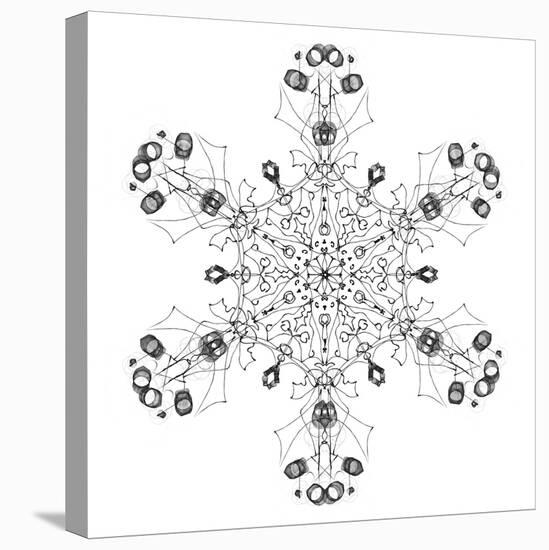 Snowflake 5-RUNA-Stretched Canvas