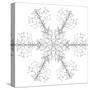 Snowflake 6-RUNA-Stretched Canvas