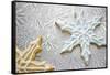 Snowflake Cookies-null-Framed Stretched Canvas