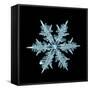 Snowflake Isolated Natural Crystal-Kichigin-Framed Stretched Canvas