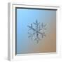 Snowflake on Smooth Blue-Brown Gradient Background. this is Macro Photo of Real Snow Crystal: Large-Alexey Kljatov-Framed Photographic Print