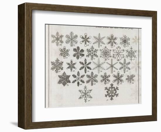 Snowflake Research, 18th Century-Middle Temple Library-Framed Photographic Print