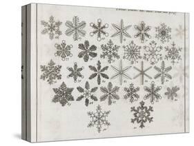 Snowflake Research, 18th Century-Middle Temple Library-Stretched Canvas