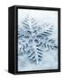 Snowflake Shaped Christmas Ornament Lying in the Snow-null-Framed Stretched Canvas