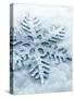 Snowflake Shaped Christmas Ornament Lying in the Snow-null-Stretched Canvas