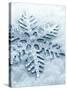 Snowflake Shaped Christmas Ornament Lying in the Snow-null-Stretched Canvas