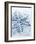 Snowflake Shaped Christmas Ornament Lying in the Snow-null-Framed Premium Photographic Print