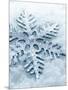 Snowflake Shaped Christmas Ornament Lying in the Snow-null-Mounted Photographic Print