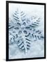 Snowflake Shaped Christmas Ornament Lying in the Snow-null-Framed Photographic Print