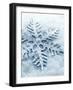 Snowflake Shaped Christmas Ornament Lying in the Snow-null-Framed Photographic Print