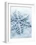 Snowflake Shaped Christmas Ornament Lying in the Snow-null-Framed Photographic Print