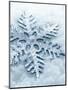 Snowflake Shaped Christmas Ornament Lying in the Snow-null-Mounted Photographic Print
