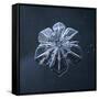 Snowflake-null-Framed Stretched Canvas