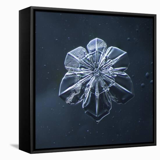 Snowflake-null-Framed Stretched Canvas