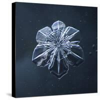 Snowflake-null-Stretched Canvas