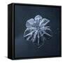 Snowflake-null-Framed Stretched Canvas