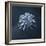 Snowflake-null-Framed Giclee Print