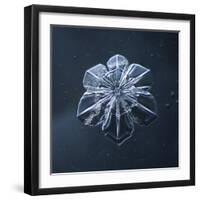 Snowflake-null-Framed Giclee Print