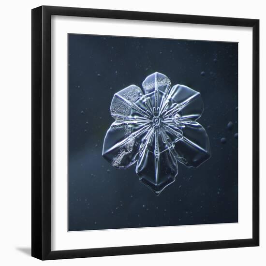 Snowflake-null-Framed Giclee Print