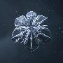 Just the Print