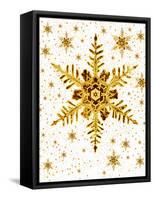 Snowflakes-Mehau Kulyk-Framed Stretched Canvas