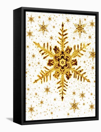 Snowflakes-Mehau Kulyk-Framed Stretched Canvas