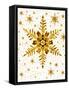 Snowflakes-Mehau Kulyk-Framed Stretched Canvas