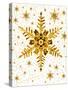 Snowflakes-Mehau Kulyk-Stretched Canvas