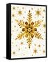 Snowflakes-Mehau Kulyk-Framed Stretched Canvas