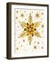 Snowflakes-Mehau Kulyk-Framed Photographic Print