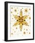 Snowflakes-Mehau Kulyk-Framed Photographic Print