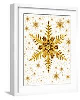 Snowflakes-Mehau Kulyk-Framed Photographic Print