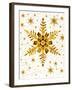 Snowflakes-Mehau Kulyk-Framed Photographic Print