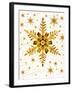 Snowflakes-Mehau Kulyk-Framed Photographic Print