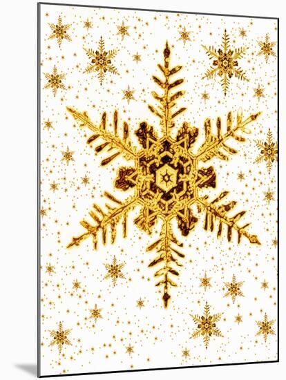 Snowflakes-Mehau Kulyk-Mounted Photographic Print