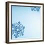 Snowflakes-null-Framed Photographic Print