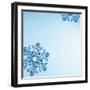 Snowflakes-null-Framed Photographic Print