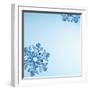 Snowflakes-null-Framed Photographic Print