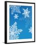 Snowflakes-null-Framed Photographic Print