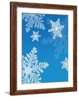 Snowflakes-null-Framed Photographic Print