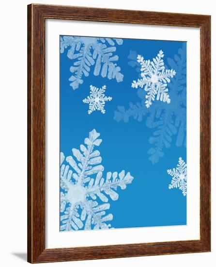 Snowflakes-null-Framed Photographic Print