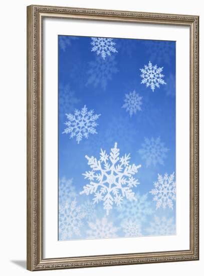 Snowflakes-null-Framed Photographic Print