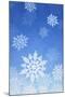 Snowflakes-null-Mounted Photographic Print