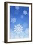 Snowflakes-null-Framed Photographic Print