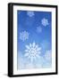 Snowflakes-null-Framed Photographic Print