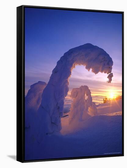 Snowghosts in the Whitefish Range, Montana, USA-Chuck Haney-Framed Stretched Canvas