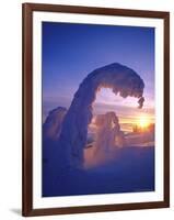 Snowghosts in the Whitefish Range, Montana, USA-Chuck Haney-Framed Photographic Print