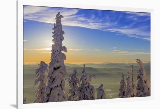 Snowghosts with a fata morgana in background, Whitefish, Montana, USA-Chuck Haney-Framed Photographic Print
