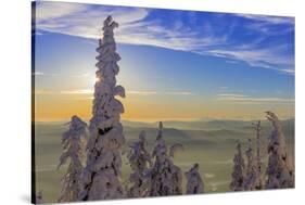 Snowghosts with a fata morgana in background, Whitefish, Montana, USA-Chuck Haney-Stretched Canvas